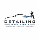 Detailing Paint Repair — Reparación de Pintura Automotriz